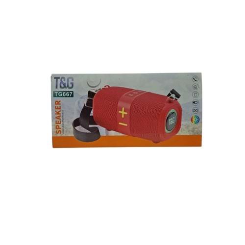 MÜZİK KUTUSU (TG-667)